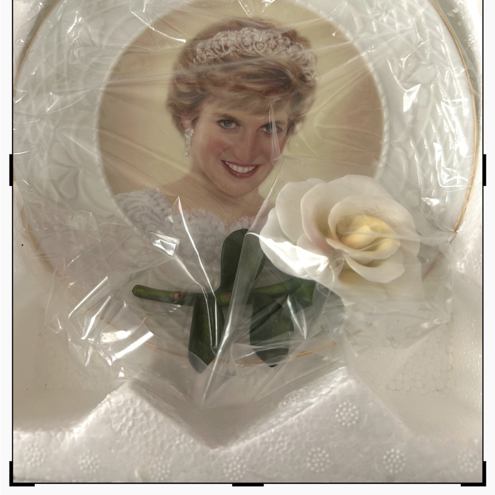 The Bradford Exchange Princess Plate with White and Gold Accents